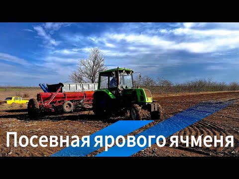 Видео: Посев ярового ячменя 2025. Трактора КИЙ с сеялкой СЗ 5.4.