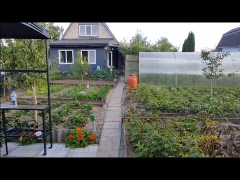 Видео: Обзор моей дачи. Беларусь, Мозырский район. Июль 2025.