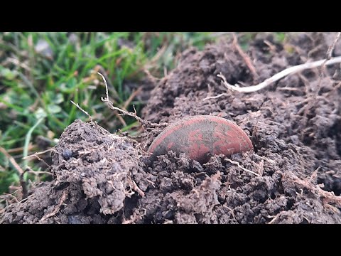 Видео: КАКВО КРИЯТ ЗЕМИТЕ НИ #1