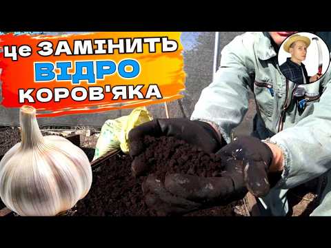 Видео: ЧАСНИК БЕЗ НАВОЗУ - Мій Секретний Спосіб Підготовки Грядки