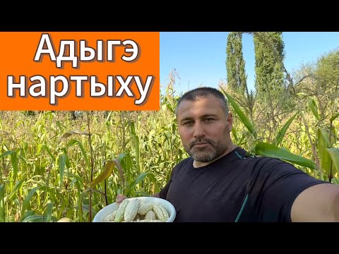 Видео: Адыгэбзэм егъэджэным теухуауэ 