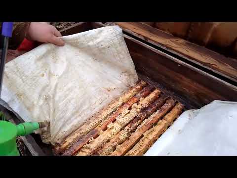 Видео: Пролив