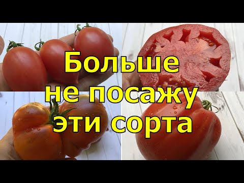 Видео: ЭТИ ТОМАТЫ НИКОГДА НЕ ПОСАЖУ, РАЗОЧАРОВАЛИ...