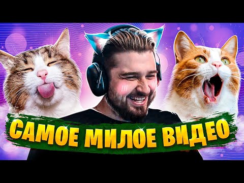 Видео: HARD PLAY СМОТРИТ ПРИКОЛЫ С ЖИВОТНЫМИ . КОШКИ И СОБАКИ . ПРИКОЛЫ 2021, COUB, TIK TOK