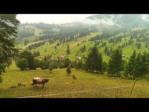 Видео: Румыния - Гимес - очень необычное карпатское село