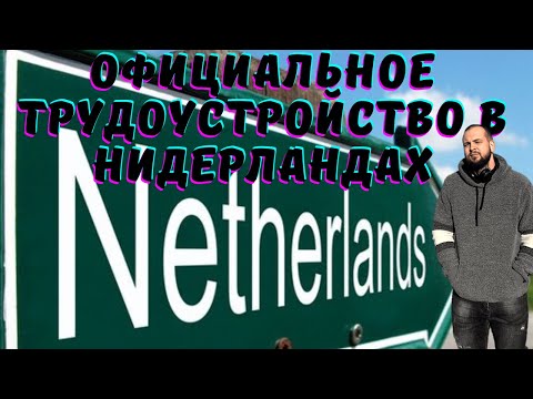 Видео: Что нужно что бы официально работать в Нидерландах ( Голландия )