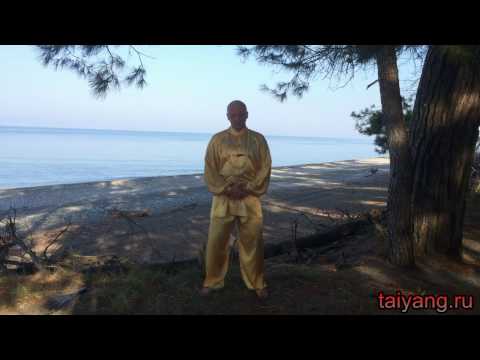 Видео: Цигун   железный веник, мудра лотоса  Павел Ян  2016