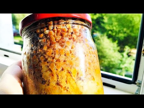 Видео: Гречка с мясом в автоклаве: безопасные и вкусные домашние консервы