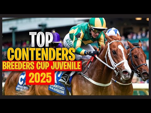Видео: Top Contenders 2025 Breeders’ Cup Juvenile | Следующая звезда Тройной короны?