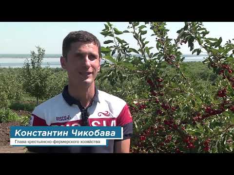 Видео: Точка Роста Хвалынские соки КФХ Чикобава
