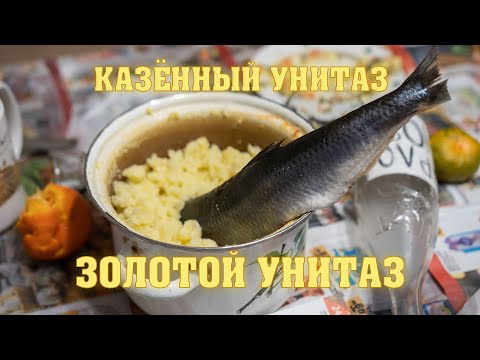 Видео: Казённый Унитаз - Золотой унитаз (official music video)