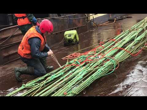 Видео: Подъем трала, скумбрия.
