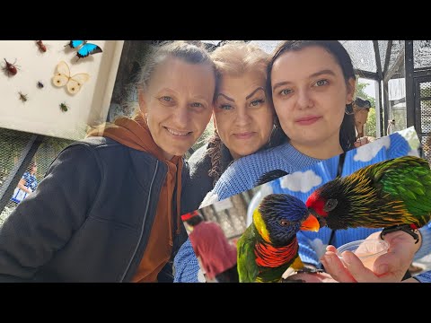 Видео: Мир Бабочек в Майами, Татьяна спорщица, а я хорошая, lorausa