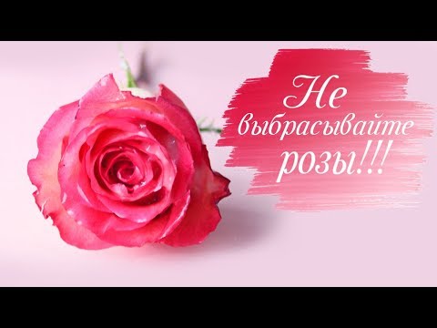 Видео: БОЛЬШЕ НЕ НУЖНО ВЫБРАСЫВАТЬ ЦВЕТЫ! Как продлить жизнь цветам. Розы в воске!