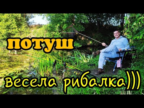 Видео: РИБАЛКА В ПОТУШІ З ВЕСЕЛОЮ КОМПАНІЄЮ / КУШТУЄМО ГОСТРИЙ СОУС НА БЕРЕЗІ ПІВДЕННОГО БУГУ