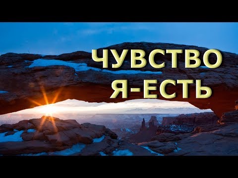 Видео: ЧУВСТВО Я-ЕСТЬ  [Н. Махарадж, NikOsho]