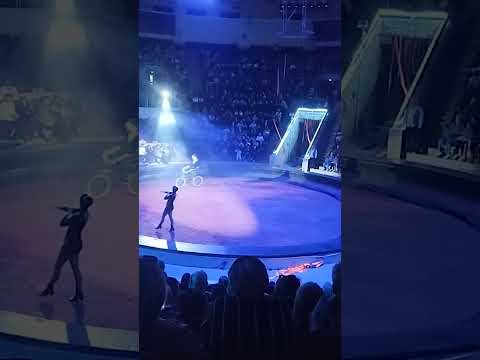 Видео: 27 октября 2025 г.