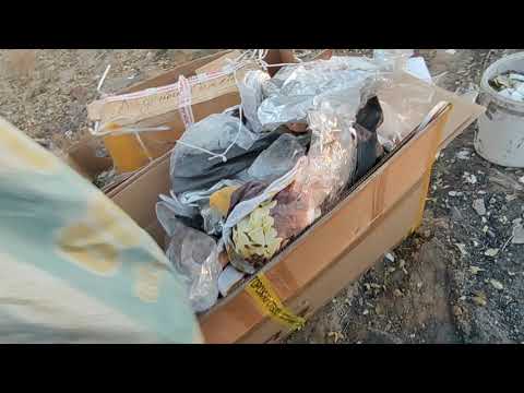 Видео: Вечерний сталк на свалке .