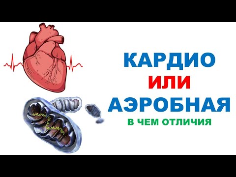 Видео: Кардио и Аэробная тренировка - в чем отличие?