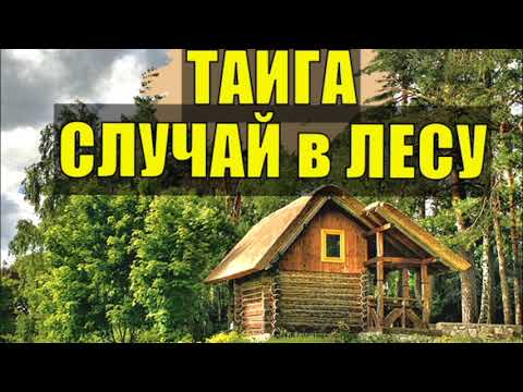 Видео: СЛУЧАЙ В ТАЙГЕ РАССКАЗ СЛЕДОВАТЕЛЯ из ЖИЗНИ ОТШЕЛЬНИКИ СУДЬБА ЧЕЛОВЕКА ЖИЗНЬ В ЛЕСУ ИЗБУШКА ЛЕСНИКА