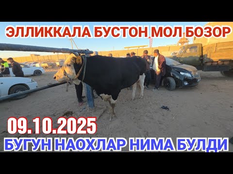 Видео: 9 октября 2025 ЭЛЛИККАЛА БУСТОН МОЛ БОЗОР НАРХЛАР НИМА БУЛДИ