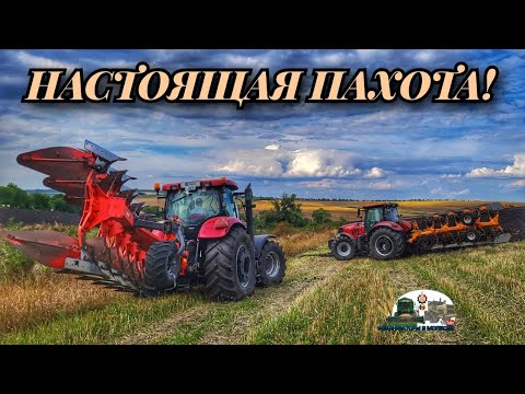 Видео: Трактора Case IH Puma 225 и 210 пашут плугами MORO ARATRI и KUHN по стерни пшеницы!