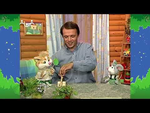 Видео: Вечер в Шишкином Лесу. Сказка. Про паровозик