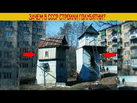 Видео: Зачем в СССР строили ГОЛУБЯТНИ?