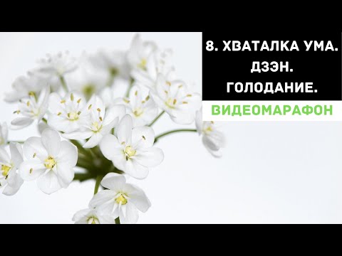 Видео: День 8. Хваталка ума. Дзэн. Голодание.
