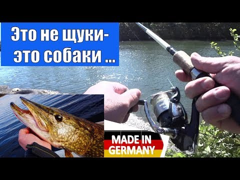 Видео: ГЕРМАНИЯ в ПОИСКАХ ВЕСЕННЕЙ ЩУКИ