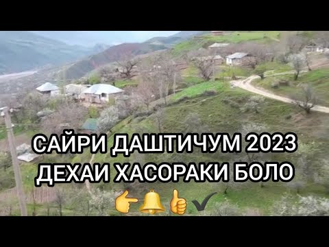 Видео: САЙРИ ДАШТИЧУМ ДЕХАИ Х.БОЛО 2023(SAYRI DASTIJUM DEHAI H BOLO 2023)#даштичум#природа #2023#топ #1995