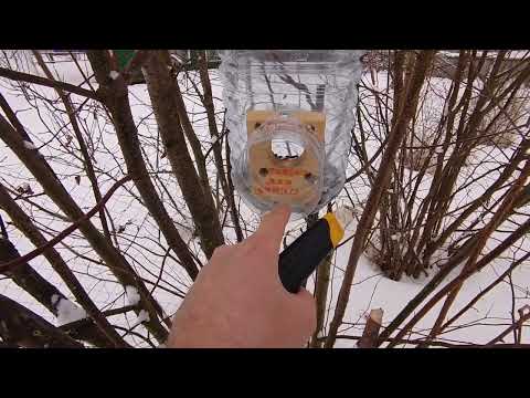 Видео: Кормушка для Синиц, очередная доработка.
