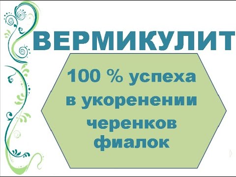 Видео: Вермикулит. 100% успеха в укоренении черенков фиалок