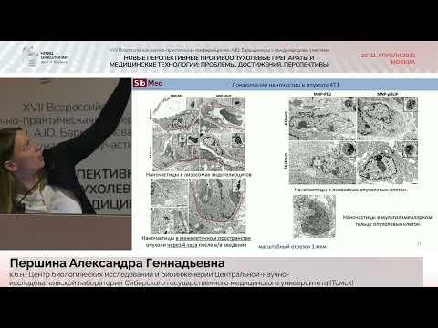 Видео: Доставка магнитных наночастиц в опухоль. Першина А. Г.