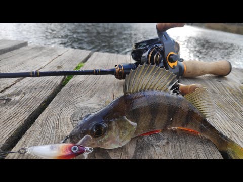 Видео: #1 Школа ультралайткастинга Как выбрать мультипликаторную катушку для ловли на самые лёгкие приманки