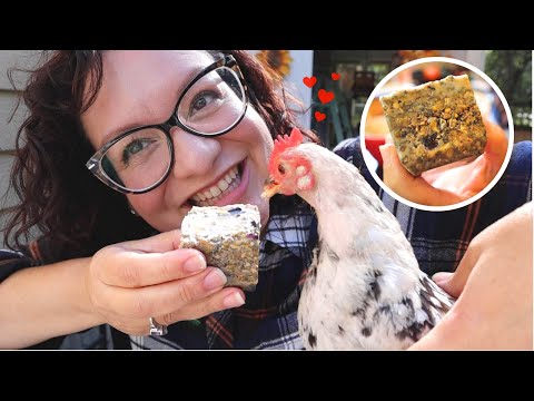 Видео: Эти ПРОСТЫЕ домашние пирожки с «сальным» жиром сохранят цыплят в тепле и пушистости! 😋🐔❤️