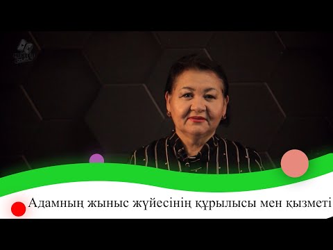 Видео: Адамның жыныс жүйесінің құрылысы мен қызметі. 9 сынып.