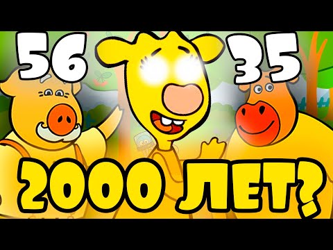 Видео: СКОЛЬКО ЛЕТ ОРАНЖЕВОЙ КОРОВЕ?! ВОЗРАСТ оранжевой коровы!