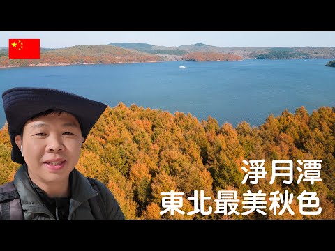 Видео: Откройте крупнейший искусственный лес Азии и осенние пейзажи Китая