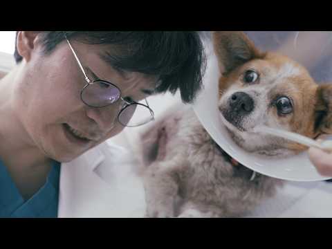 Видео: Что мне делать с этими детьми!!