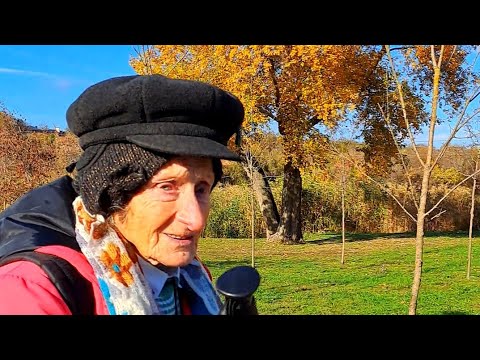 Видео: 31 октября 2025 г.