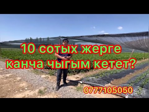 Видео: 10 сотых жерге канча чыгым кетет?