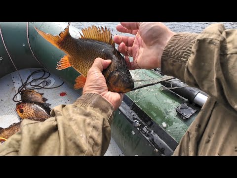 Видео: ПРОВЕРКА СЕТЕЙ НА ОЗЕРЕ. ЛОВЛЯ РЫБЫ НА СТАВНЫЕ СЕТИ. СЕГОДНЯ БУДЕМ ЖАРИТЬ РЫБУ.