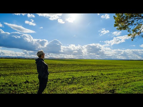 Видео: Размер 52- 54  | Обзор одежды в прямом эфире