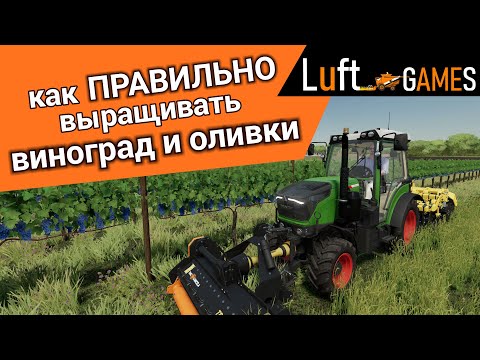 Видео: Виноград и Оливки - подробный гайд | Farming Simulator 22