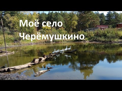 Видео: Моё село Черёмушкино