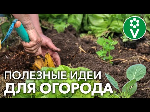 Видео: ПЛАНИРУЕМ ОГОРОД ПО-НОВОМУ! Как получить больше урожая с меньшей площади