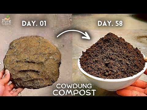 Видео: Как сделать компост из коровьего навоза дома? (ПОШАГОВОЕ РУКОВОДСТВО)