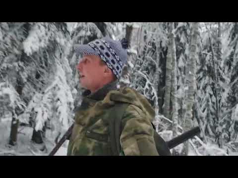 Видео: По зимнему лесу на вездеходе.