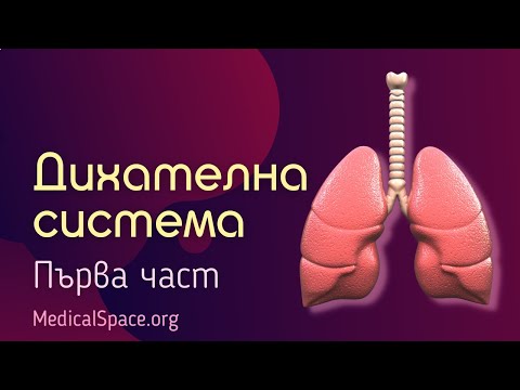 Видео: Дихателна система. Първа част